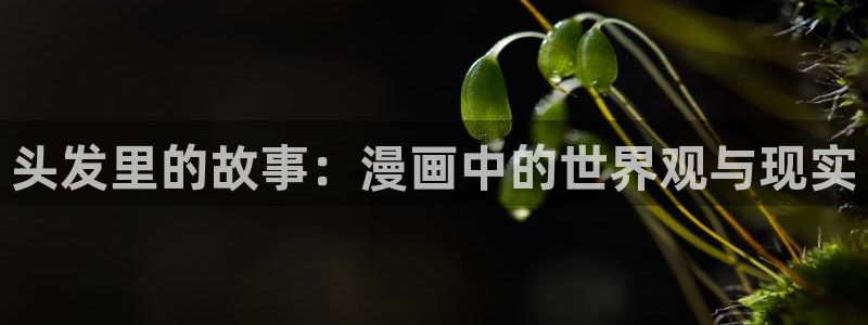 动漫之家韩漫：头发里的故事：漫画中的世界观与现实