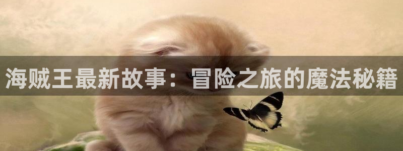 韩漫怎么看免费漫画：海贼王最新故事：冒险之旅的魔法秘籍