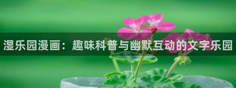 羞羞漫画韩漫画：湿乐园漫画：趣味科普与幽默互动的文字乐园