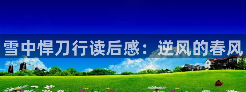 韩漫网站双男主：雪中悍刀行读后感：逆风的春风