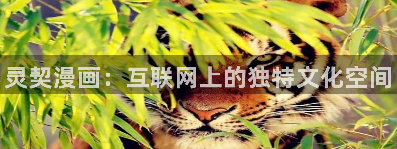 韩漫大尺度网站：灵契漫画：互联网上的独特文化空间