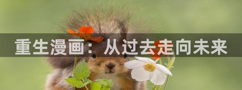 韩漫啦啦漫画免费观看：重生漫画：从过去走向未来