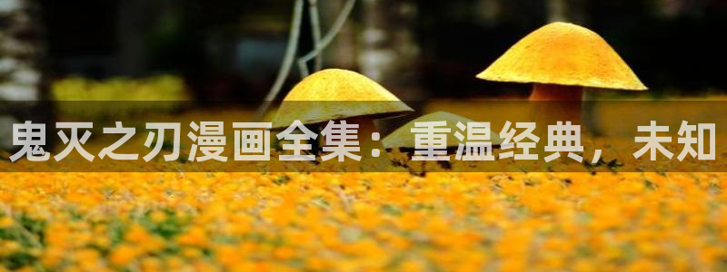 mignon韩漫在线观看：鬼灭之刃漫画全集：重温经典，未知