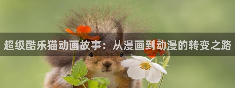 韩漫网站成人：超级酷乐猫动画故事：从漫画到动漫的转变之路