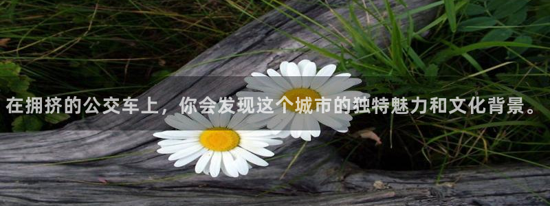 韩漫漫画在：在拥挤的公交车上，你会发现这个城市的独特魅力和文化背景。