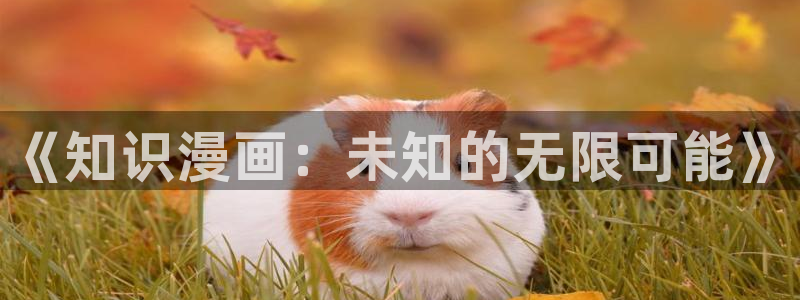 韩漫免费观看下拉式漫画网站：《知识漫画：未知的无限可能》