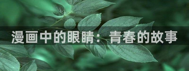 漫画免费韩漫双男：漫画中的眼睛：青春的故事