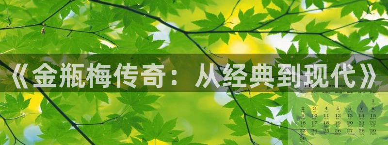 韩漫私宅女主人漫画：《金瓶梅传奇：从经典到现代》